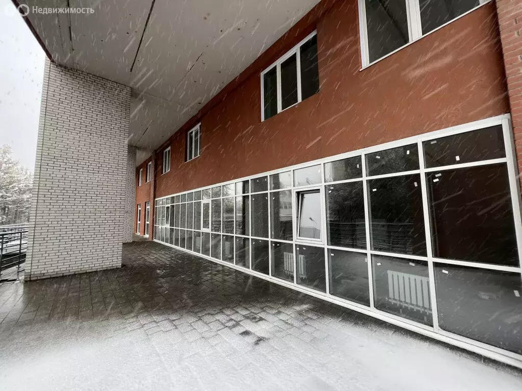 Помещение свободного назначения (250 м) - Фото 1