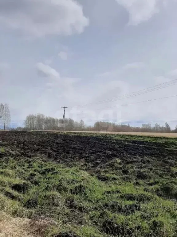 Участок в Тюменская область, Ялуторовский муниципальный округ, д. ... - Фото 1