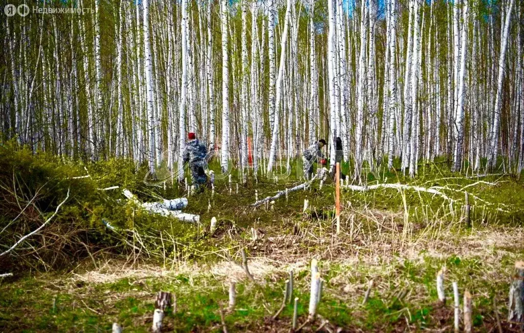Участок в Тюменский район, деревня Решетникова (6.5 м) - Фото 0