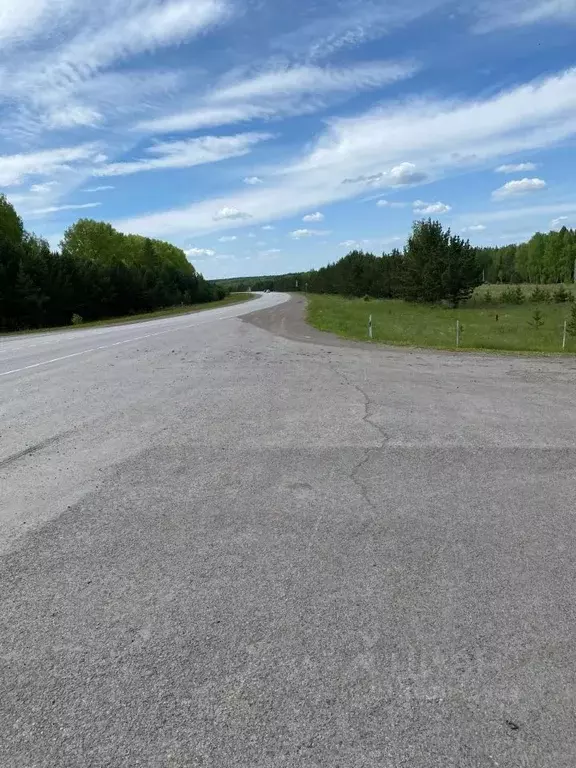 Участок в Красноярский край, Емельяново городское поселение, д. Сухая  ... - Фото 1