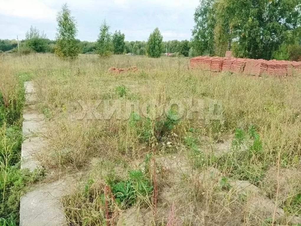 Участок в Новосибирская область, Новосибирский район, Станционный ... - Фото 1