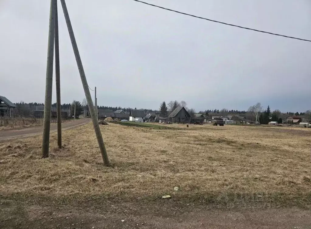 Участок в Ленинградская область, Волосовский район, Большеврудское ... - Фото 1