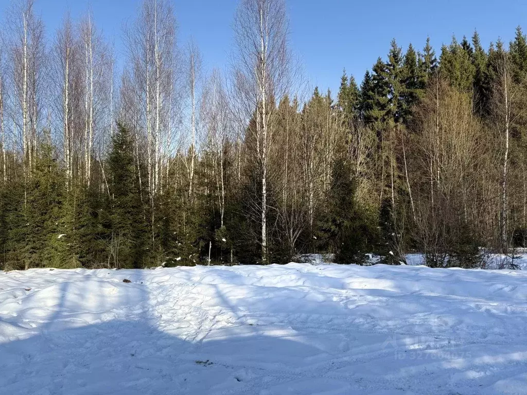 Участок, 12 сот., сельхоз (снт или днп) - Фото 2