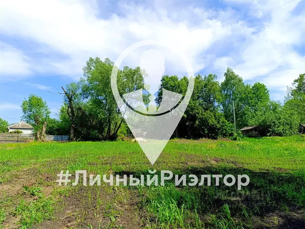 Участок в Рязанская область, Александро-Невский рп ул. Базарная, 1 ... - Фото 1