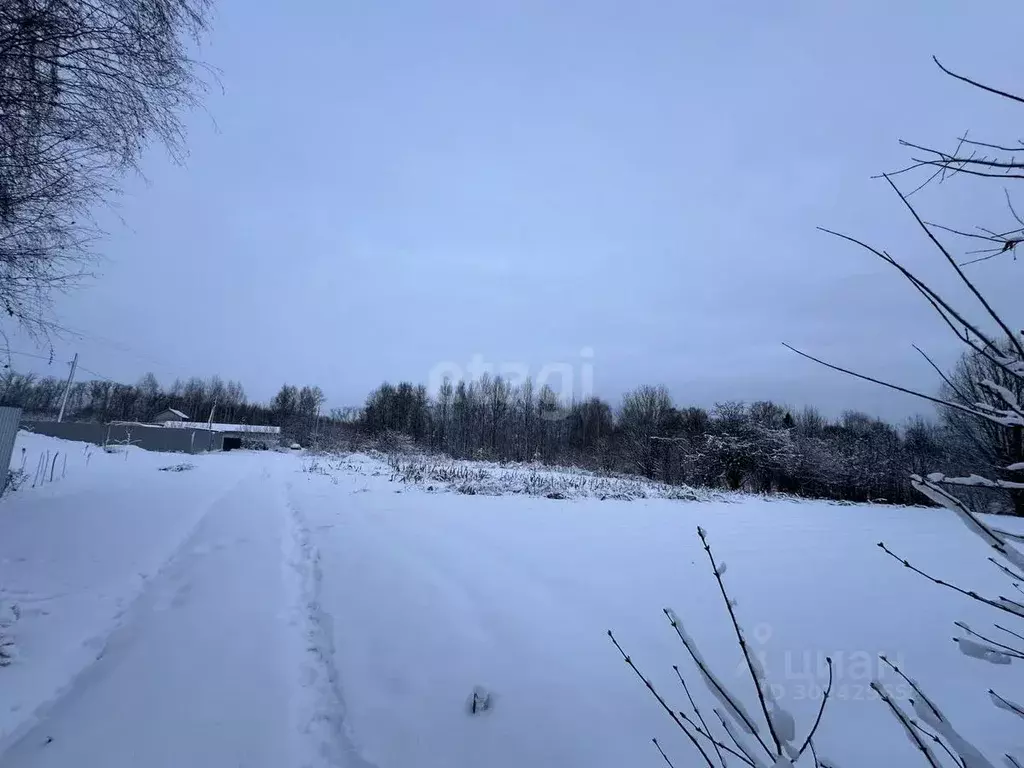 Участок в Владимирская область, Округ Муром городской округ, с. ... - Фото 0