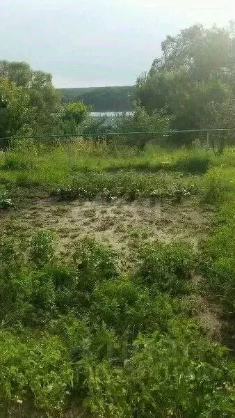 Участок в Белгородская область, Белгород Дальние Пески мкр,  (8.0 ... - Фото 0