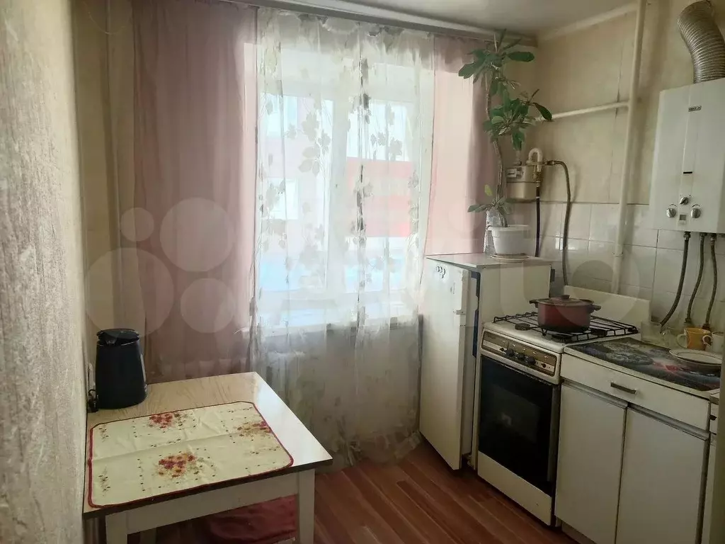 1-к. квартира, 29,7 м, 1/5 эт. - Фото 1