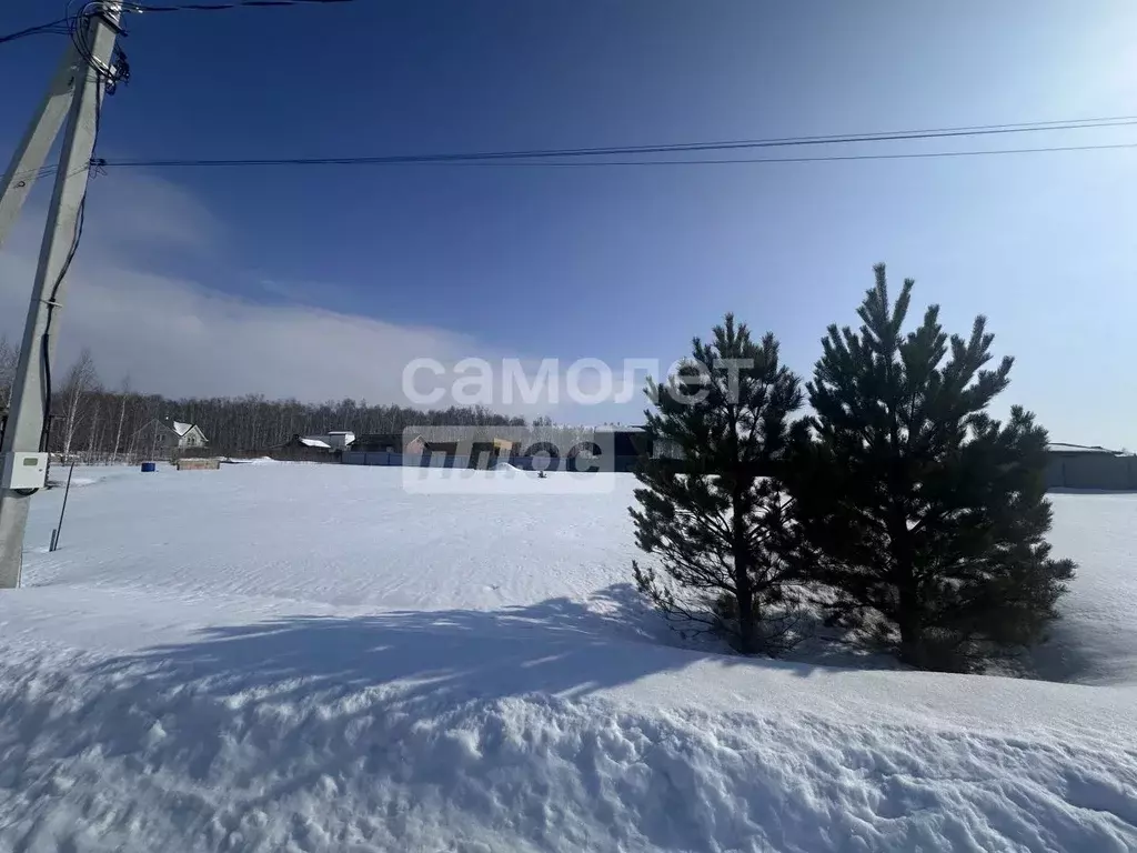 Участок в Челябинская область, Сосновский муниципальный округ, с. ... - Фото 2