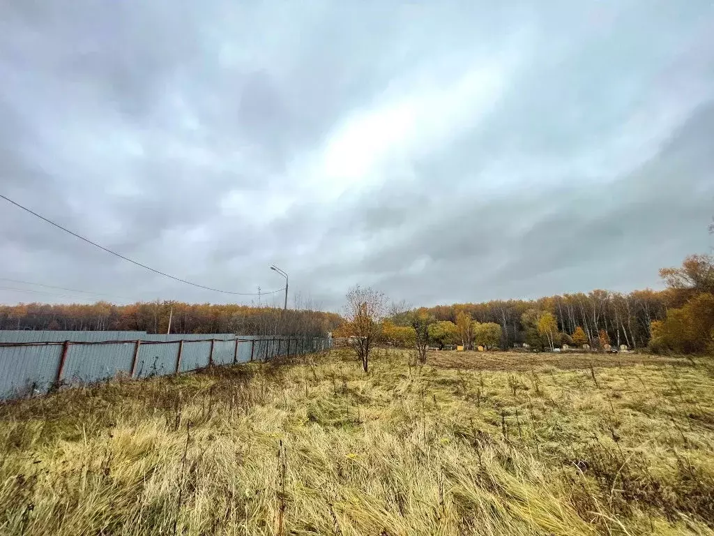 Продается участок в д. Горки - Фото 2