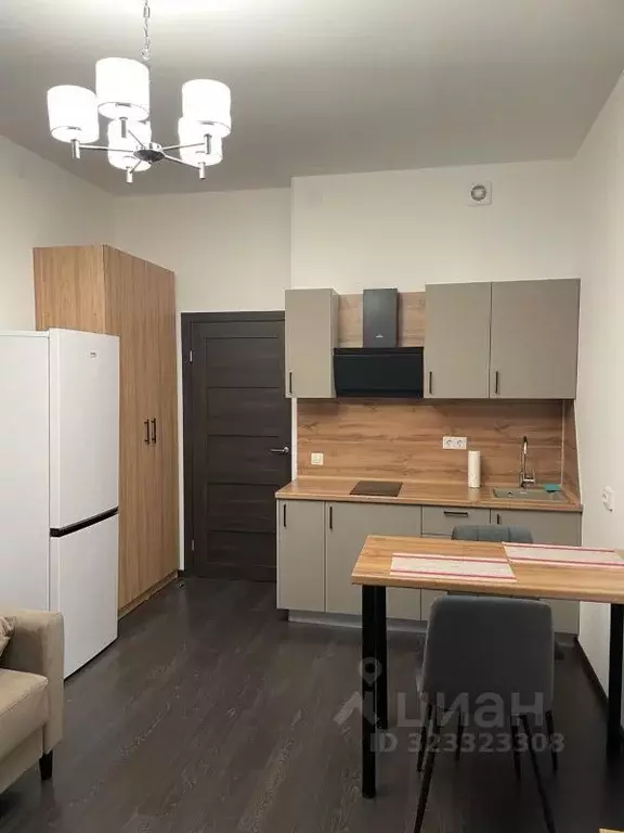 Студия Санкт-Петербург ул. Владимира Пчелинцева, 5 (24.0 м) - Фото 2