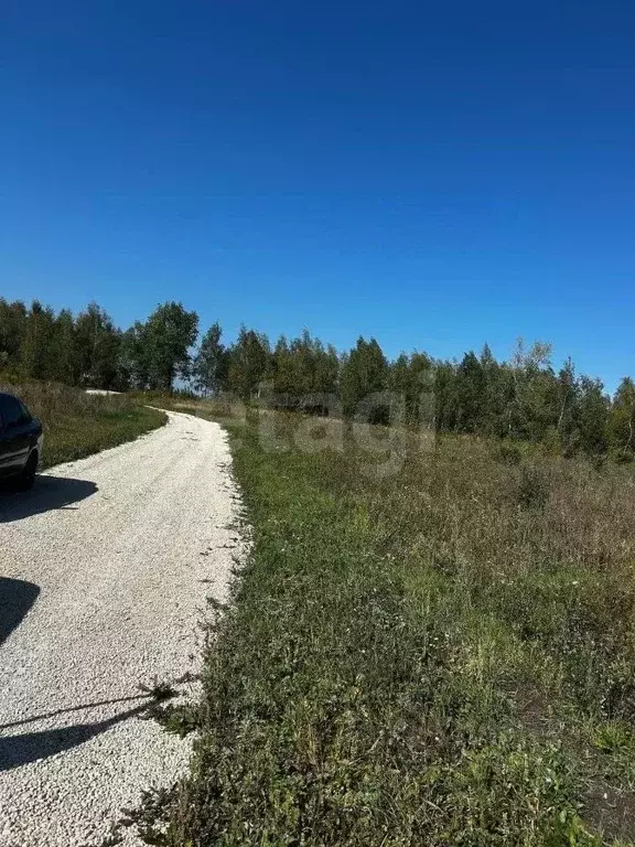 Участок в Липецкая область, Липецкий муниципальный округ, с. Сенцово  ... - Фото 1