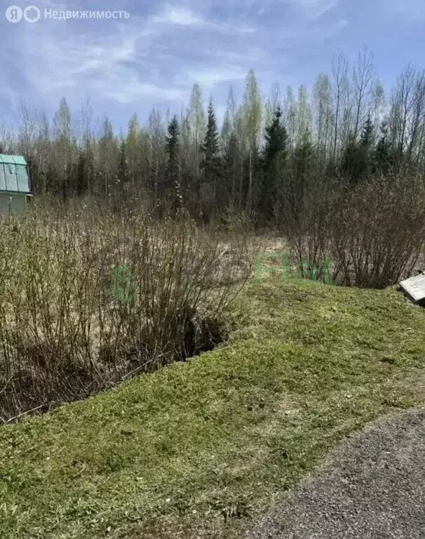 Участок в Трубникоборское сельское поселение, садоводческий массив ... - Фото 2