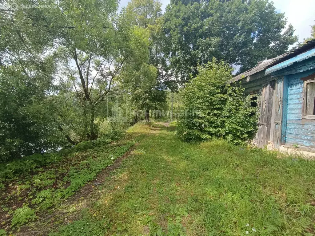 Участок в село Иваново, Лесная улица, 19 (30 м) - Фото 2