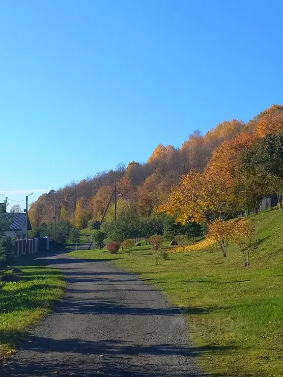 Дом в Ленинградская область, Ломоносовский район, Виллозское городское ... - Фото 1