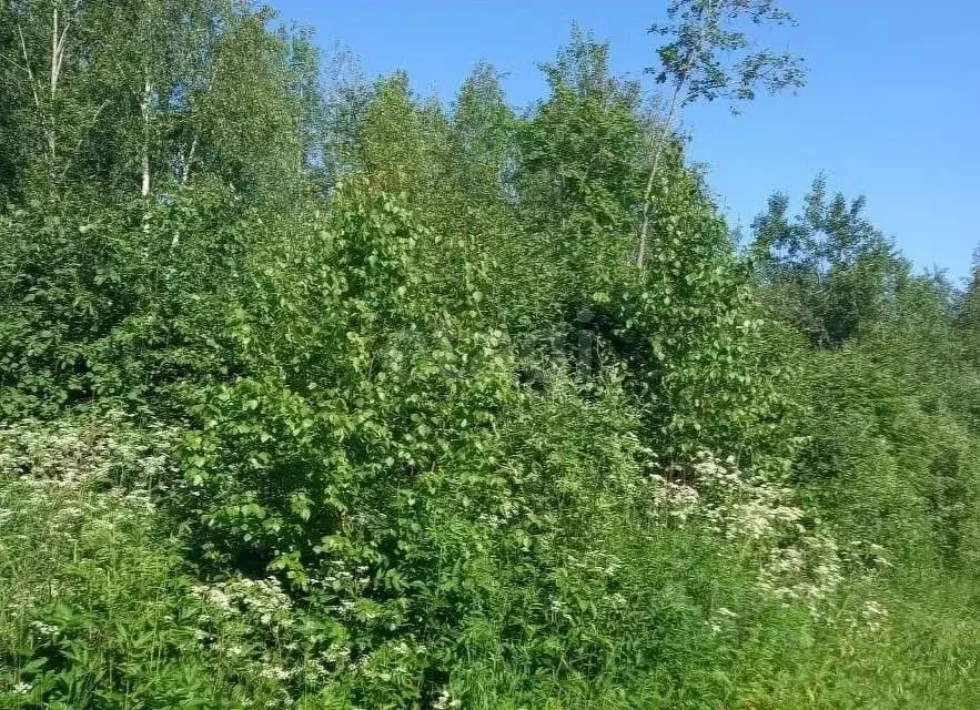 Участок в Вологодская область, Вологда Медик садоводческое ... - Фото 1