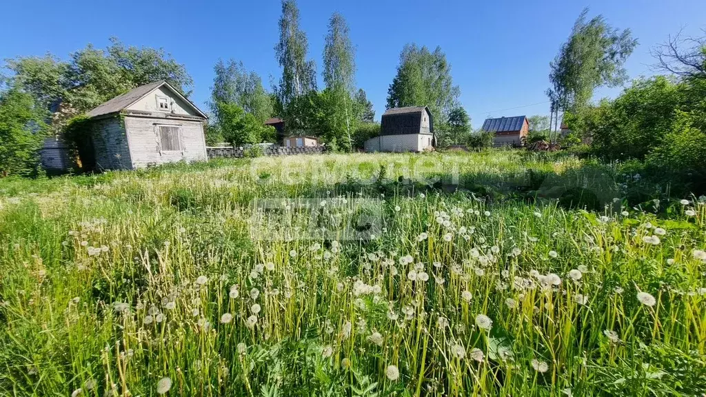Участок 6 сот. (СНТ, ДНП) - Фото 0