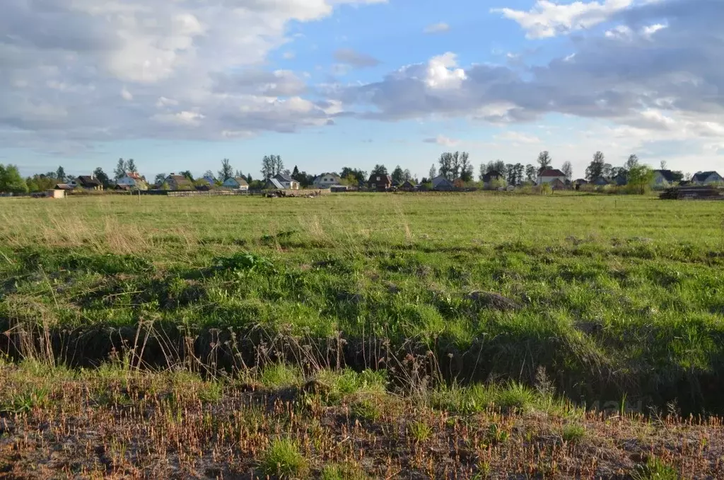 Участок в Новгородская область, Новгородский район, Бронницкое с/пос, ... - Фото 0