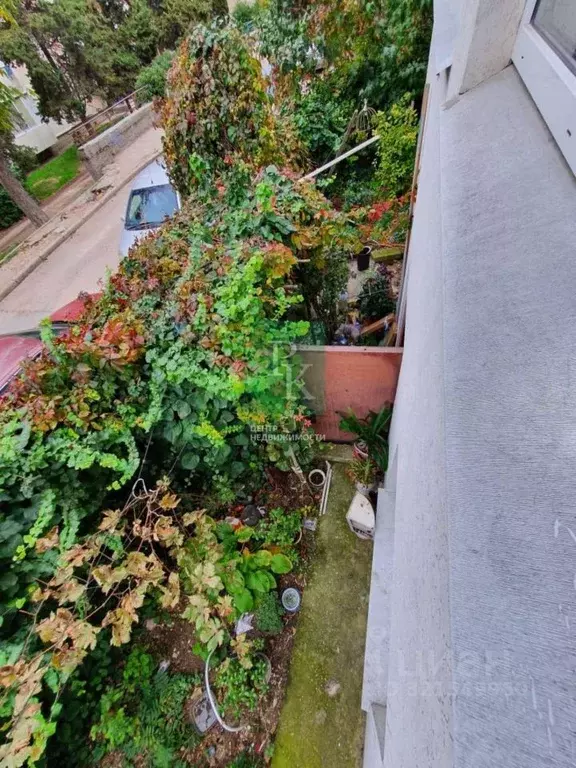 1-к кв. Севастополь ул. Маршала Геловани, 20 (30.3 м) - Фото 1