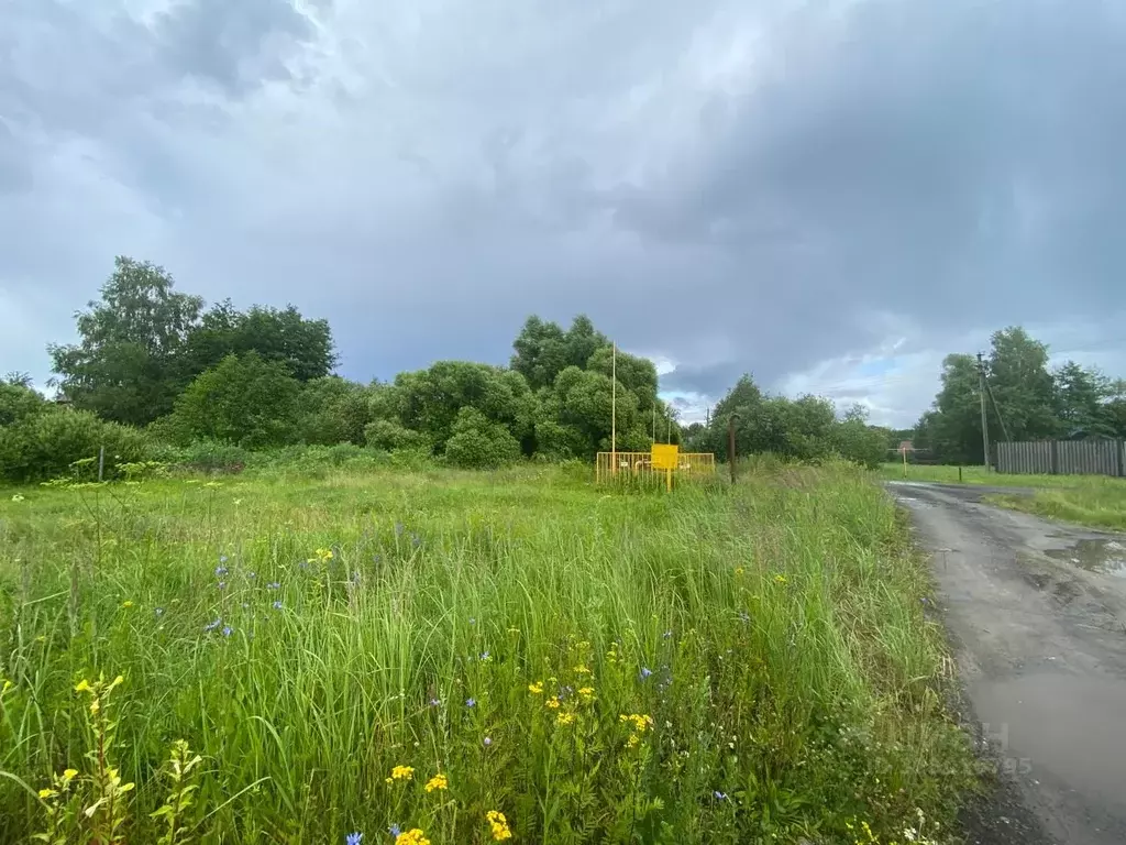Участок в Пензенская область, Пензенский район, Засечный сельсовет, ... - Фото 1