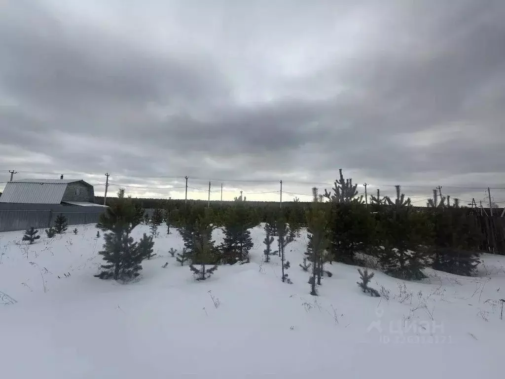 Участок в Свердловская область, Белоярский муниципальный округ ул. ... - Фото 2