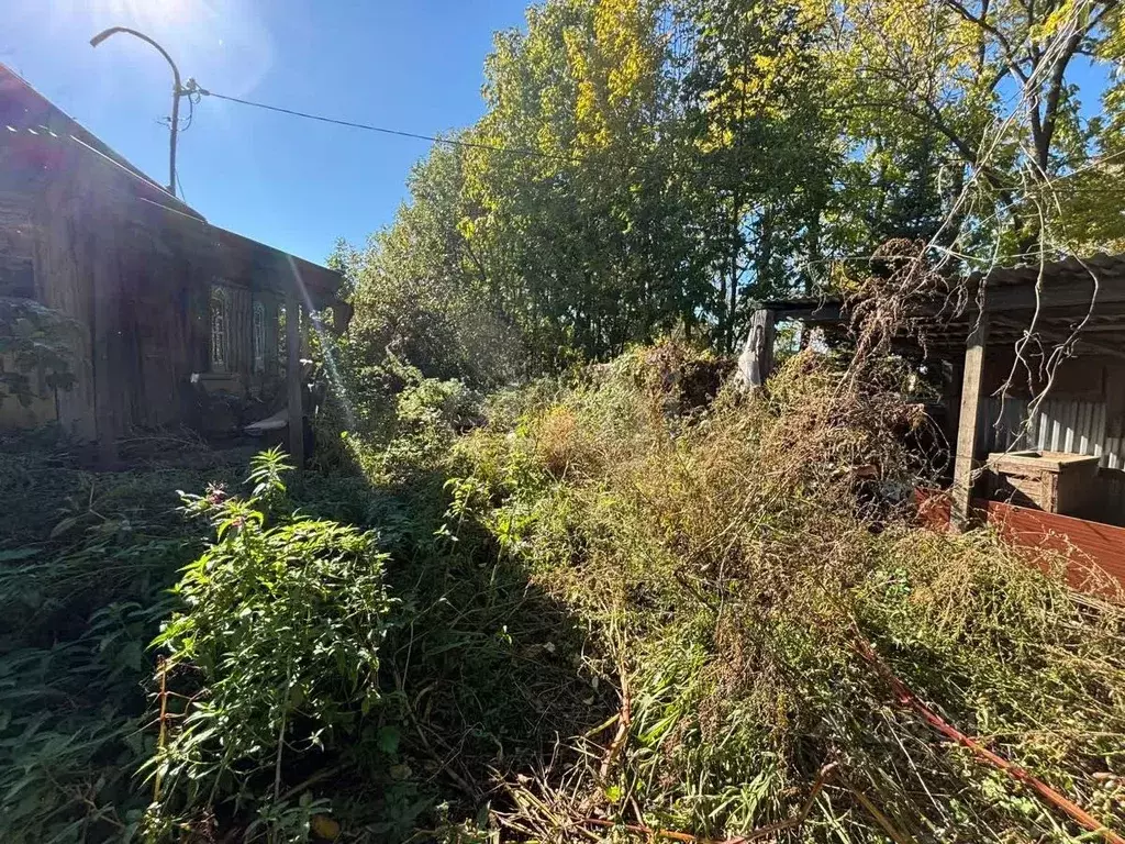 Дом в Еврейская автономная область, Смидовичский район, пос. ... - Фото 2