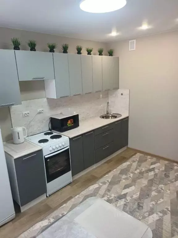 2-к кв. Новосибирская область, Новосибирск ул. Забалуева, 69 (38.0 м) - Фото 1