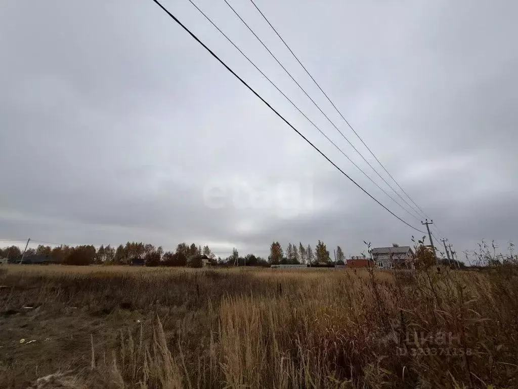 Участок в Костромская область, Кострома Соколиное Гнездо кп, 1 (7.3 ... - Фото 1