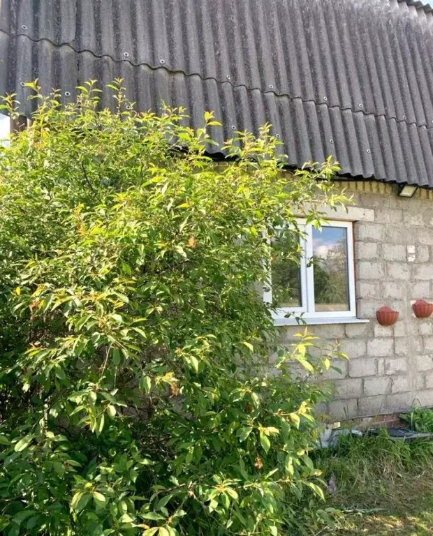 Дом в Брянская область, Фокино Юбилейный СНТ,  (36 м) - Фото 2