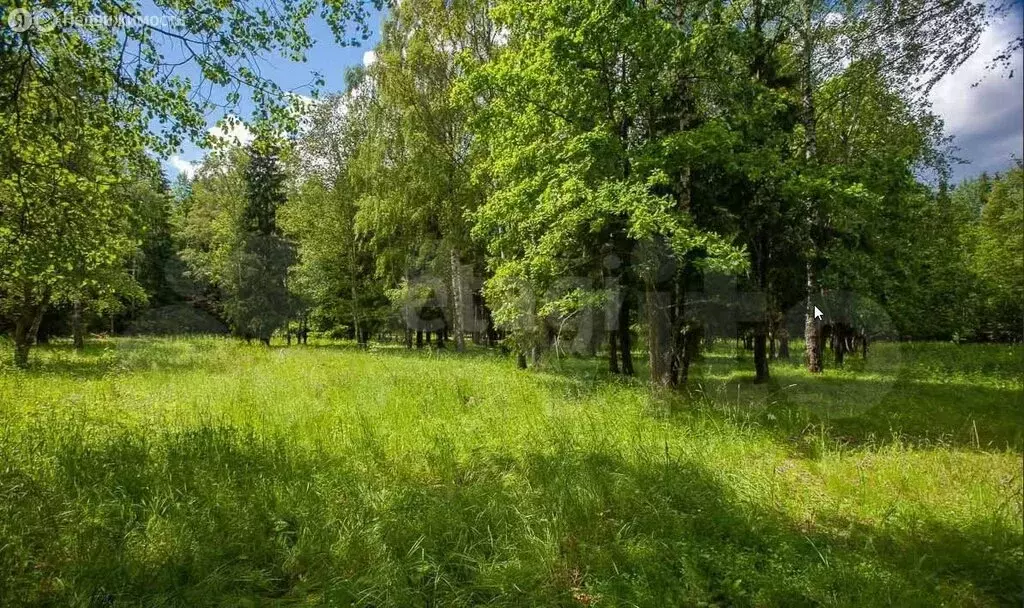 Участок в Одинцовский городской округ, деревня Молоденово (15 м) - Фото 1