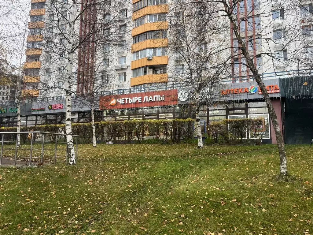 Торговая площадь в Москва Славянский бул., 9К1 (202 м) - Фото 2