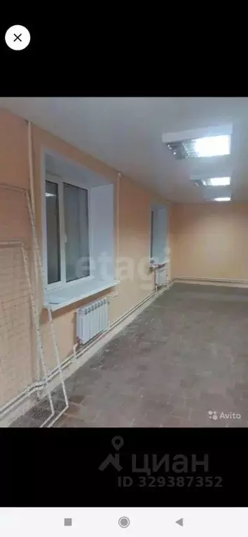 Помещение свободного назначения в Брянская область, Суземка рп ул. ... - Фото 1