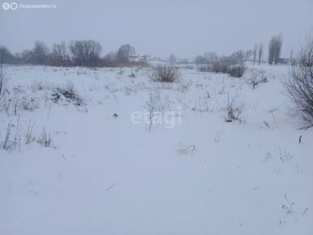 Участок в село Новая Усмань, СНТ Отрада, Заречная улица (9 м) - Фото 0