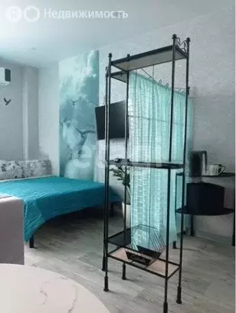 Квартира-студия: Кемерово, Октябрьский проспект, 30Б (27.1 м) - Фото 2