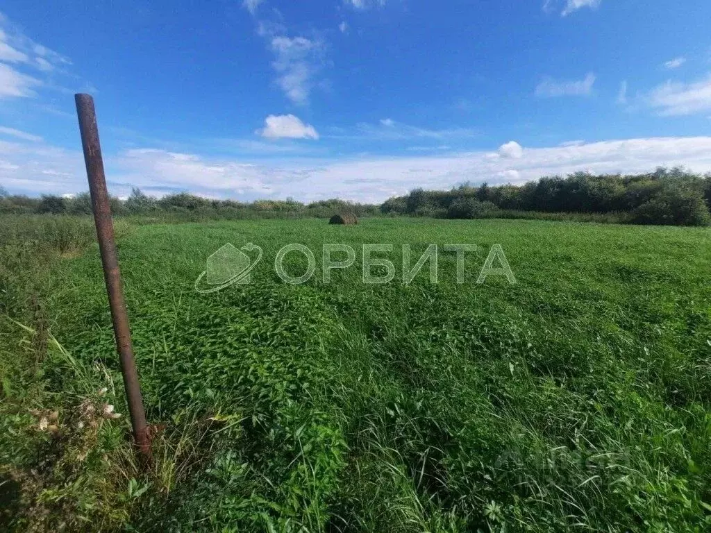 Участок в Тюменская область, Тюменский муниципальный округ, д. ... - Фото 2
