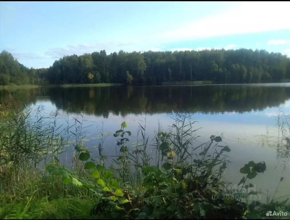 Участок в Новгородская область, Крестецкий муниципальный округ, д. ... - Фото 0