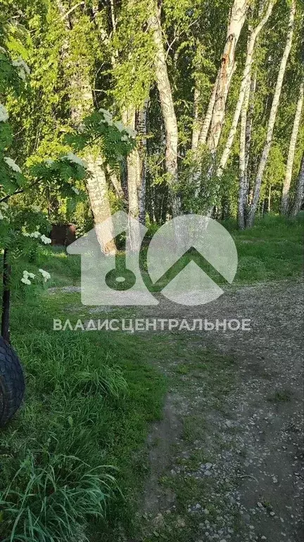 Участок 5,7 сот. (СНТ, ДНП) - Фото 0