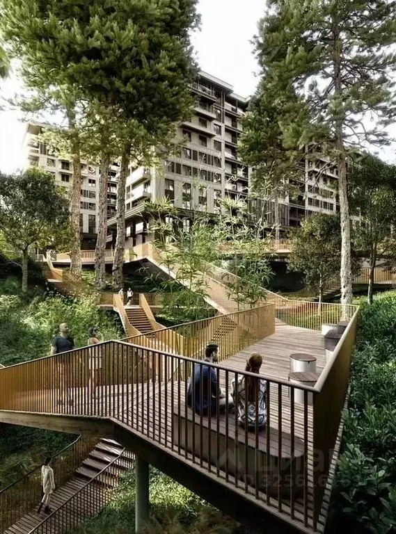 Студия Краснодарский край, Сочи ул. Ленина, 280А (23.4 м) - Фото 2