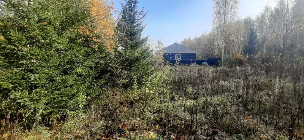 Участок в Пермский край, Пермский муниципальный округ, Садовый кв-л  ... - Фото 1