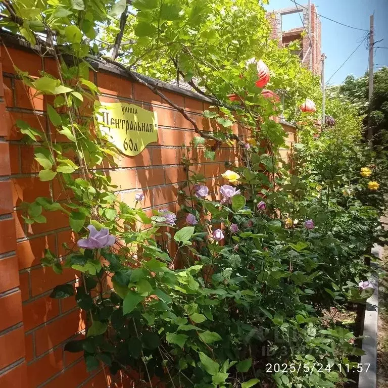 Комната Краснодарский край, Ейск ул. Центральная, 60А - Фото 1
