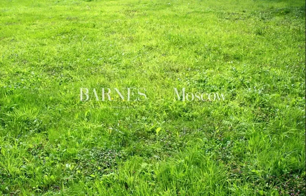 Участок в Московская область, Красногорск городской округ, д. ... - Фото 1