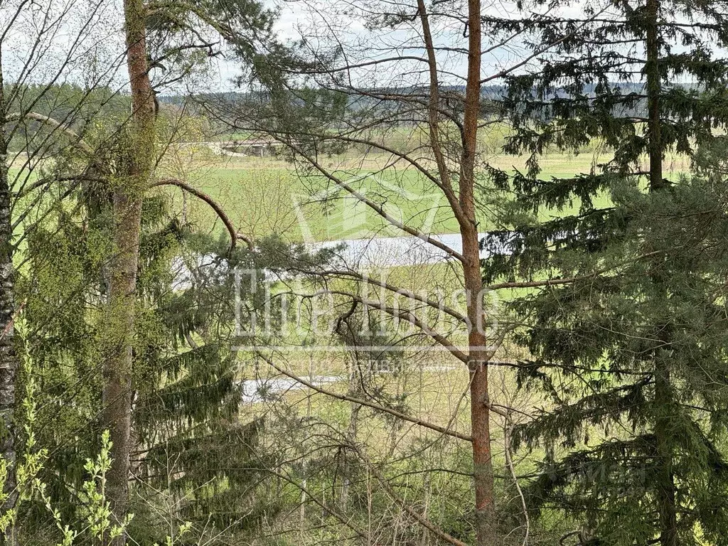 Участок в Калужская область, Дзержинский район, Полотняный Завод ... - Фото 2