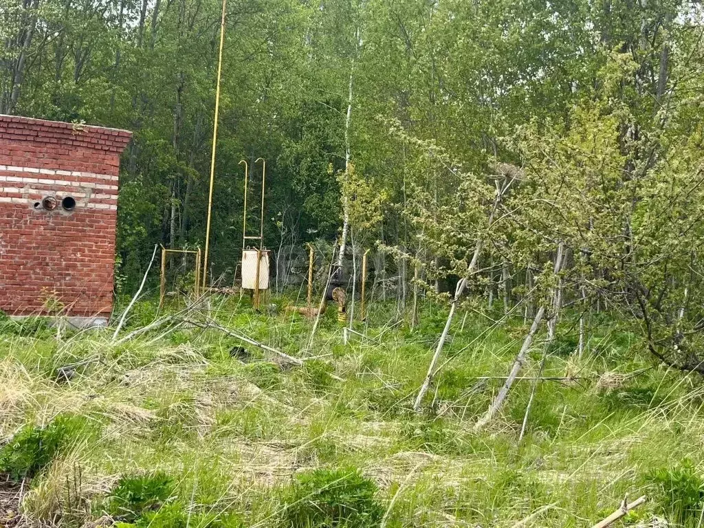 Участок в Тульская область, Тула городской округ, д. Натальинка  ... - Фото 1