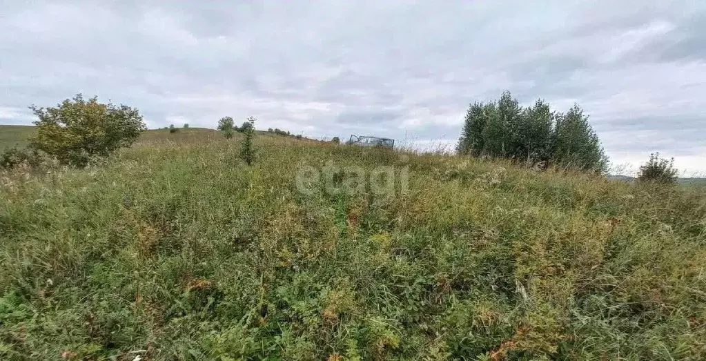 Участок в Алтай, Горно-Алтайск ул. Киселева (8.5 сот.) - Фото 1