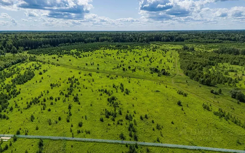Участок в Московская область, Ступино городской округ, д. Прудно  (6.0 ... - Фото 2