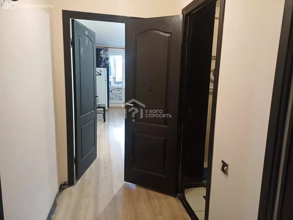 Квартира-студия: деревня Низино, Верхняя улица, 1к1 (24.5 м) - Фото 1