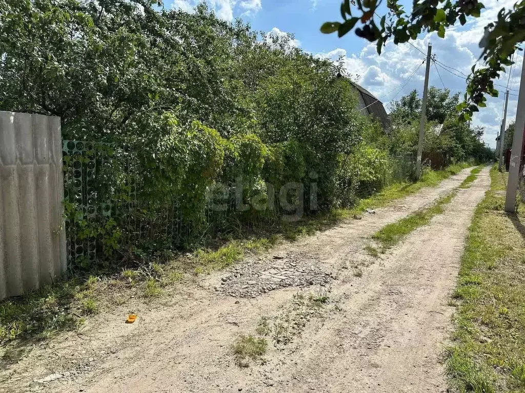 Участок в Курская область, Курский район, Щетинский сельсовет, Химфарм ... - Фото 1