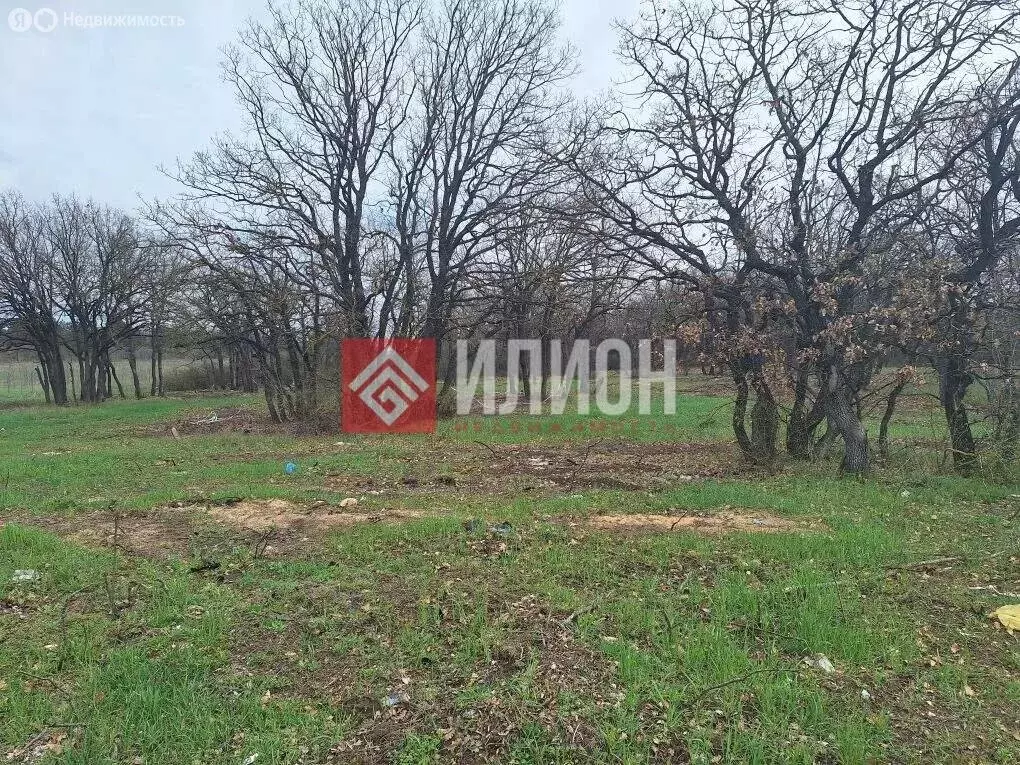 Участок в Мирное, 3691 (7.6 м) - Фото 2