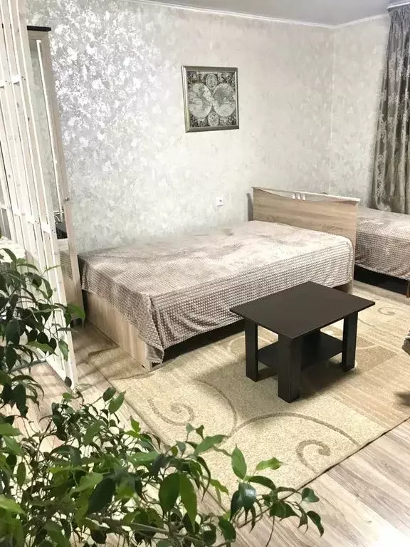 Студия Ростовская область, Таганрог Большой Садовый пер., 35 (35.0 м) - Фото 1