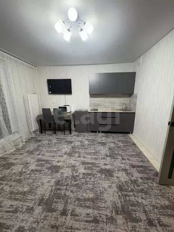 Студия Челябинская область, Челябинск ул. Маршала Чуйкова, 28 (24.0 м) - Фото 1