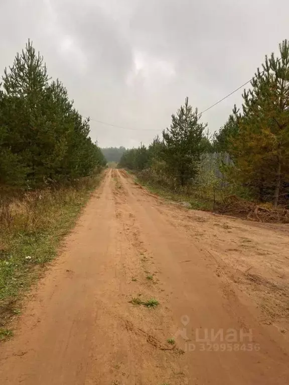 Участок в Кировская область, Слободской муниципальный район, Шиховское ... - Фото 1